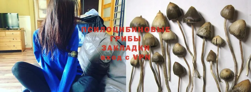 наркота  даркнет формула  Галлюциногенные грибы Magic Shrooms  Кулебаки 